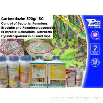Cas 63090-40-4 Systemic Fungicide For Trees , Carendazim 50